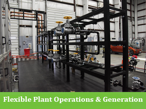 Flexible Plant Operations